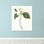Grote blote trillium canvas afdruk (Insitu (Houten vloer))