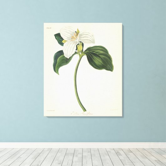 Grote blote trillium canvas afdruk (Insitu (Houten vloer))