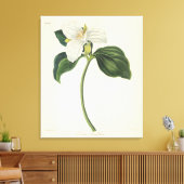 Grote blote trillium canvas afdruk (Insitu (Woonkamer))