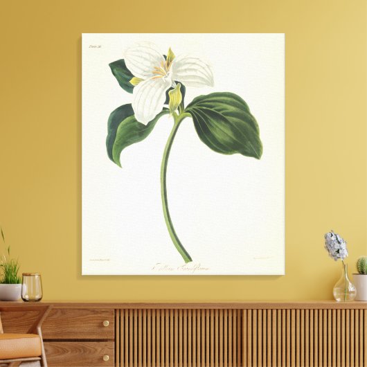 Grote blote trillium canvas afdruk (Insitu (Woonkamer))