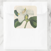 Grote blote trillium vierkante sticker (Tas)