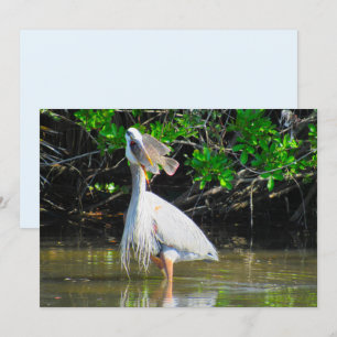 Grote Blue Heron's Lunch Flat Kaart