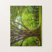Grote boom in het park legpuzzel (Verticaal)
