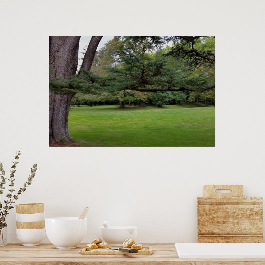 grote boomtak poster (Keuken)