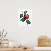 GROTE botanische afdruk van PASSIFLORA door Redout Poster (Keuken)