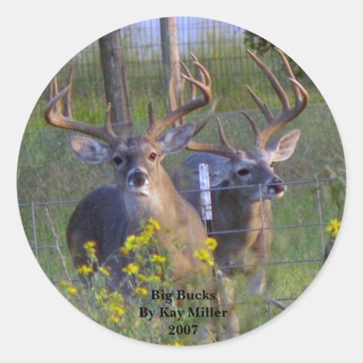 Grote BucksBy Kay Miller2007 Ronde Sticker (Voorkant)