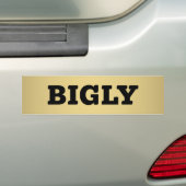 GROTE BUMPERSTICKER (Op auto)