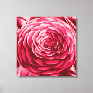 Grote Camellia, Shades of Wine en Roze Canvas Afdruk
