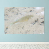 Grote canvas vis kunst afdruk (Insitu (Houten vloer))