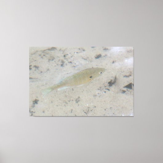 Grote canvas vis kunst afdruk (Voorkant)