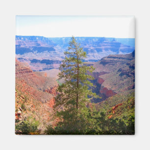 grote canyon magneet