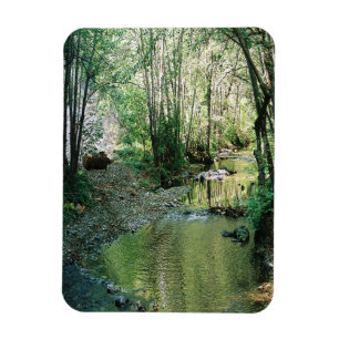 Grote Creek... Magneet