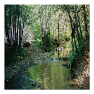 Grote Creek... Perfect Poster