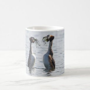Grote Crested Grebe-Mok Koffiemok