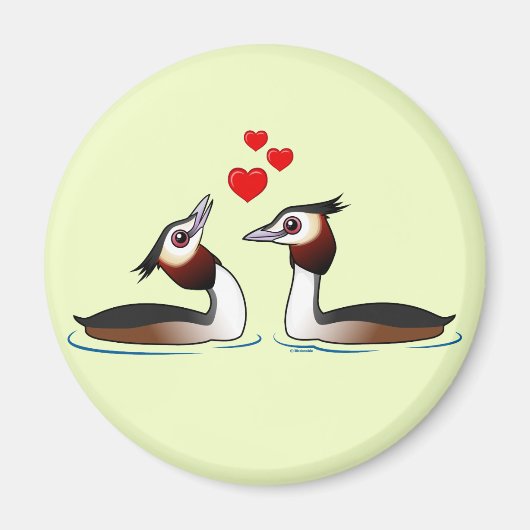 Grote Crested Grebes in Liefde Magneet (Voorkant)