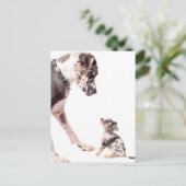 Grote Daan en chihuahua Briefkaart (Staand voorkant)