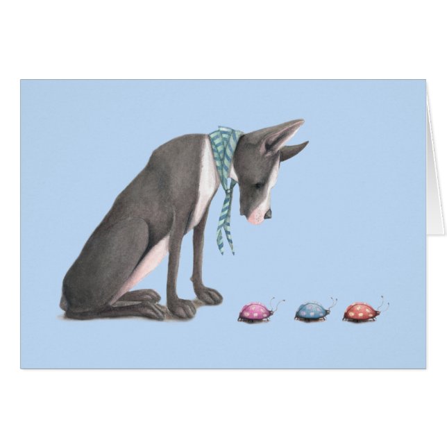 Grote Daan en Ladybugs (Voorkant Horizontaal)