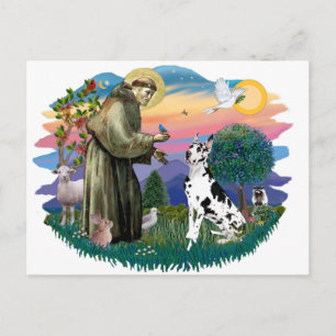 Grote Daan (Harlequin) Briefkaart
