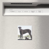 Grote dane en kleine gemengde hond magneet (Insitu (Vaatwasser))