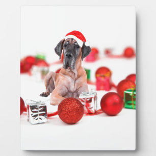 Grote Dane Hond met Kerstmis Ornamenten Cadeaus Fotoplaat