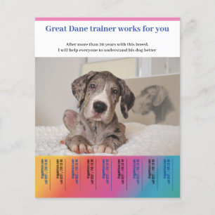 Grote Dane Hondentrainer Flyer