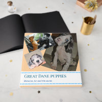 Grote Danes Puppy-gastenboek