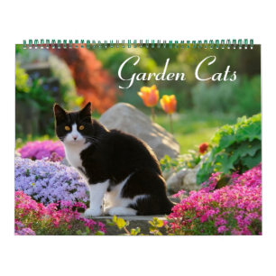 Grote de grootte van de Katten 2017 van de tuin Kalender