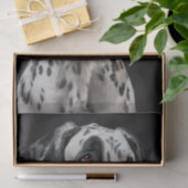 Grote Deen2 Tissuepapier (Geschenk)
