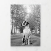 Grote Deen einde van het jaar kaarten (Cover)