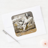 Grote Deen gekauwde Sofa Pet Sitter Hond Walker Vierkante Sticker (Envelop)