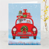 Grote deen-hond in de auto met de kerstman kaart (Gele Bloem)