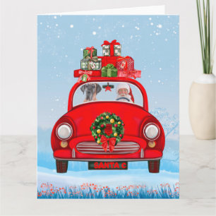 Grote deen-hond in de auto met de kerstman kaart