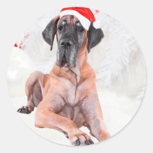 Grote Deen Hond Pet Vrolijk Kerstfeest Ronde Sticker