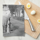 Grote Deen Keuken Handdoeken (Quarter Fold)