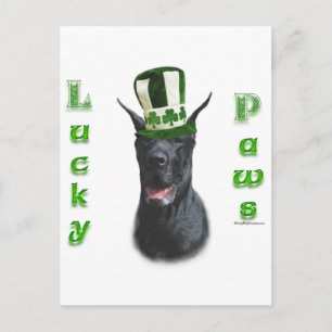 Grote Deen Lucky Paws; St. Patty's Day Grote Deen Briefkaart