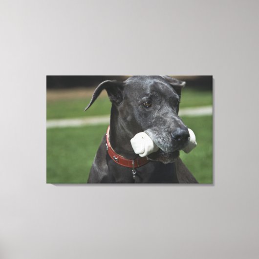 Grote Deen met been Canvas Afdruk (Voorkant)