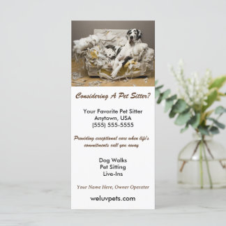 Grote Deen Ontspannen op Kauwbank Pet Sitter