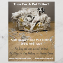 Grote Deen op Kauwbank Huisdier Zittende Flyer 8x1