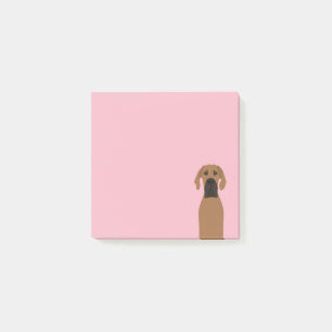 Grote Deense Fawn Dog Post-it® Notes