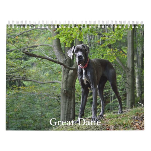 Grote Deense kalender (Hoes)