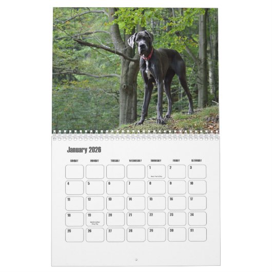 Grote Deense kalender (Jan 2026)