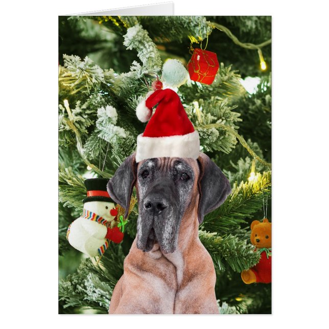 Grote Deense kerstboom geschenkdozen Santa Hat (Voorkant)