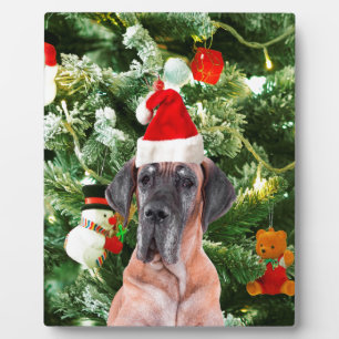 Grote Deense kerstboom geschenkdozen Santa Hat Fotoplaat
