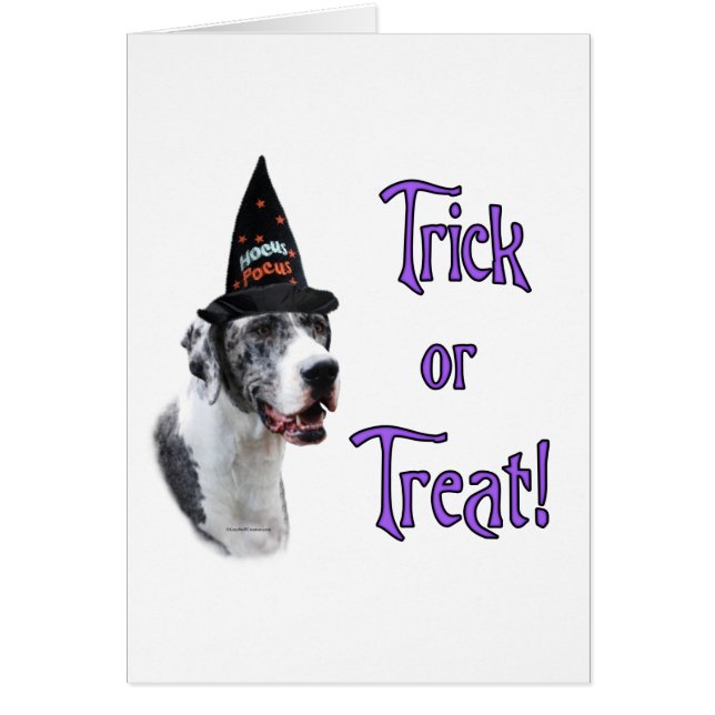 Grote Deense (merle) truc (Voorkant)