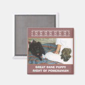 GROTE DEENSE PUPPY MAGNEET (Voorkant / Achterkant)