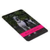 Grote Denen Magneet (Rechterzijde)