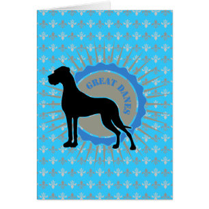 Grote Denen - Star, Dane