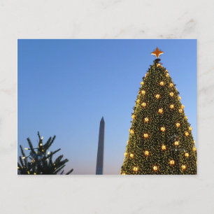 Grote en kleine kerstbomen II-feestdag in DC Feestdagenkaart