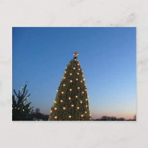 Grote en kleine kerstbomen in vakantie zonsonderga feestdagenkaart