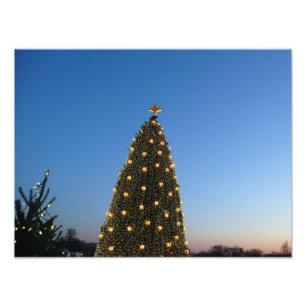 Grote en kleine kerstbomen in vakantie zonsonderga foto afdruk